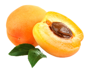 Apricot PNG-12647